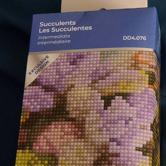 Diamond art succulents - Picture 3 of 5